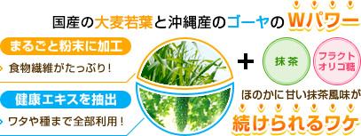 熊本・阿蘇産の大麦若葉と沖縄産のゴーヤのWパワー まるごと粉末に加工で食物繊維がたっぷり！ 健康エキスを抽出でワタや種まで全部利用！ 抹茶とキシロオリゴ糖を加えた、ほのかに甘い抹茶風味が続けられるワケ