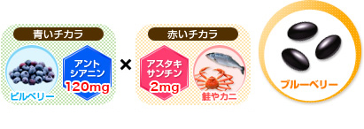 青いチカラ「ビルベリー：アントシアニン120mg」×赤いチカラ「鮭やカニ：アスタキサンチン2mg」 ブルーベリー 曇りのない毎日へ導く2種類の成分を配合！