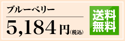 ブルーベリー 5,040円(税込) 通販限定 送料無料