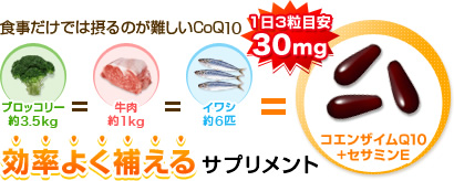 食事では摂るのが難しいCoQ10を効率よく補えるサプリメント 1日目安30mg ブロッコリー約3.5kg＝牛肉約1kg＝イワシ約6匹＝コエンザイムQ10＋セサミンE