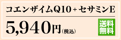 コエンザイムQ10＋セサミンE 5,775円(税込) 通販限定 送料無料