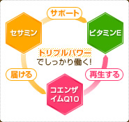 セサミン・ビタミンE・コエンザイムQ10のトリプルパワーでしっかり働く!