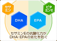 セサミンEの抗酸化力がDHA・EPAの劣化を防ぐ