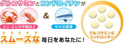 グルコサミンとコンドロイチンがスムーズな毎日をあなたに！ カニ・エビの甲殻など&サメの軟骨 グルコサミン&コンドロイチン