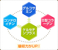 グルコサミン・コンドロイチン・Ⅱ型コラーゲン・ケルセチンプラス 吸収力がUP!