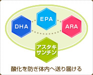 アスタキサンチンがDHA・EPA・ARAの酸化を防ぎ体内へ送り届ける