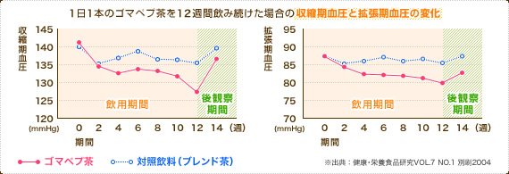 1日1本のゴマペプ茶を12週間飲み続けた場合の収縮期血圧と拡張期血圧の変化