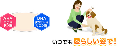 ARA(アラキドン酸)・DHA(ドコサヘキサエン酸)がシニア犬の脳の働きを活性化 脳の健康を維持 イキイキ賢く元気に長生き！ いつでも愛らしい姿で！