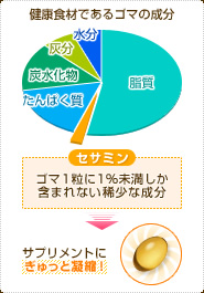 健康食材であるゴマの成分 セサミン:ゴマ1粒に1%未満しか含まれない稀少な成分 サプリメントにぎゅっと凝縮!