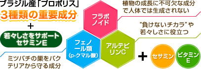 ブラジル産「プロポリス」 3種類の重要成分「フラボノイド(植物の成長に不可欠な成分で人体では生成されない)・フェノール類[p-クマル酸](ミツバチの巣をバクテリアから守る成分)・アルテピリンC('負けないチカラ'や若々しさに役立つ)」＋若さ成分セサミンE(セサミン・ビタミンE)